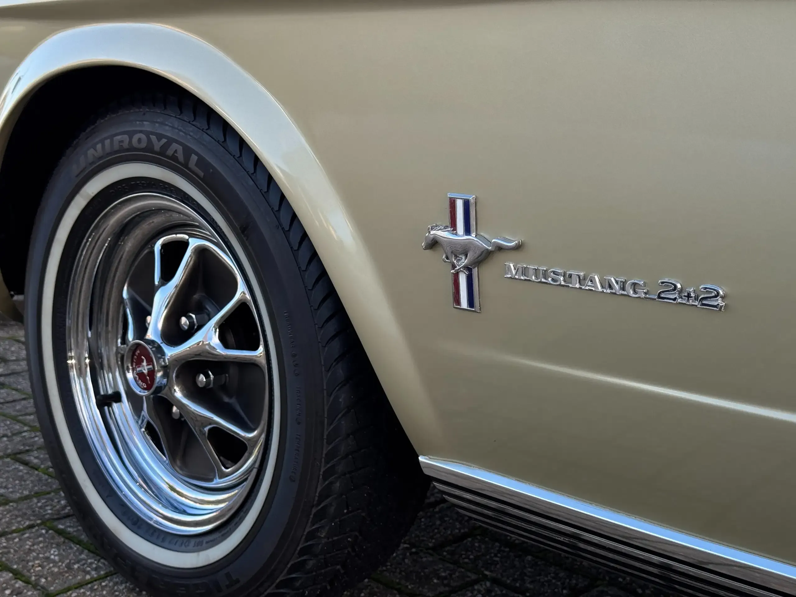 Ford Mustang foto 15