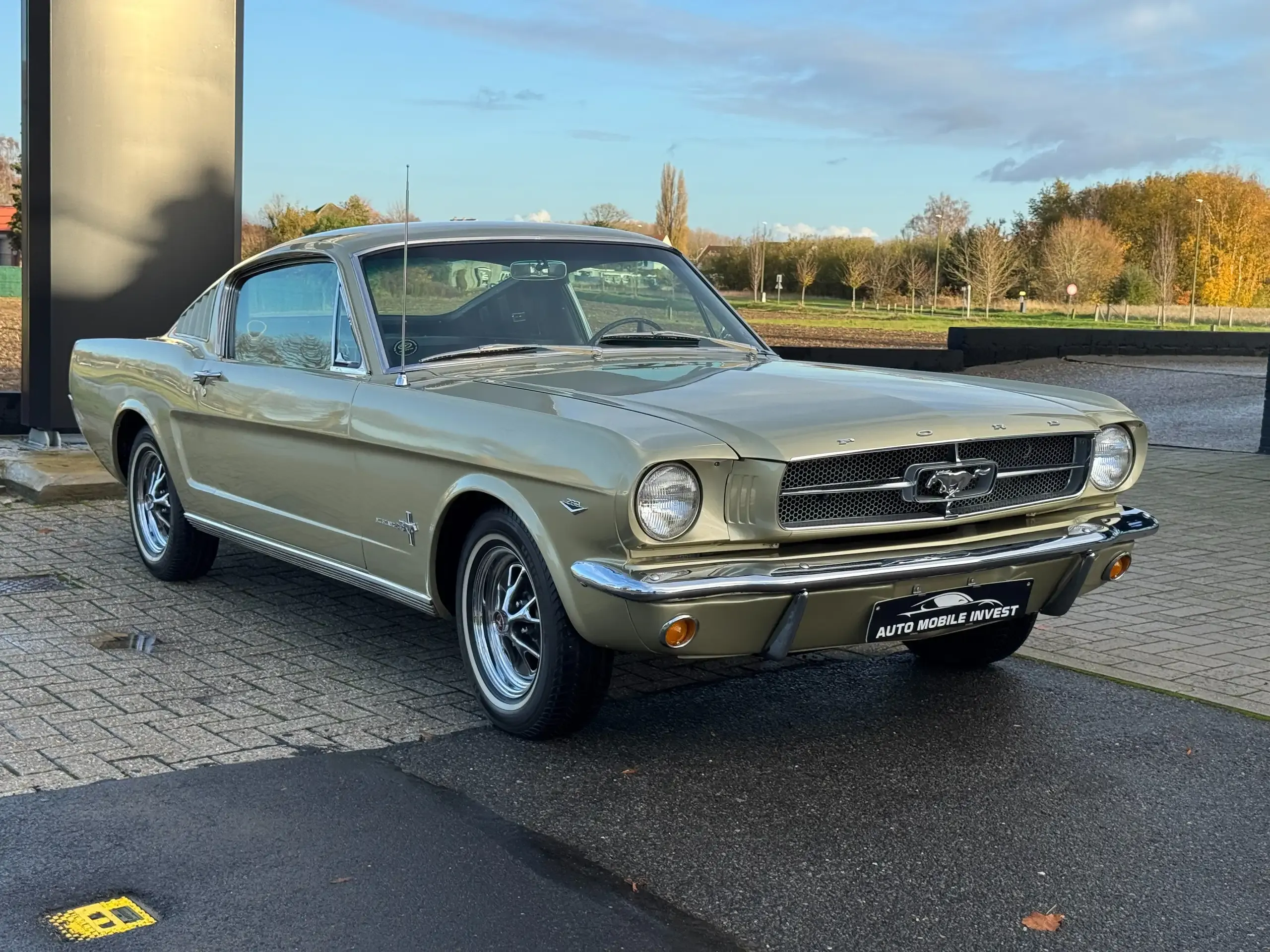 Ford Mustang 289 ORIGINAL GT, LW & RALLY-PAC PERFECT CONDITION