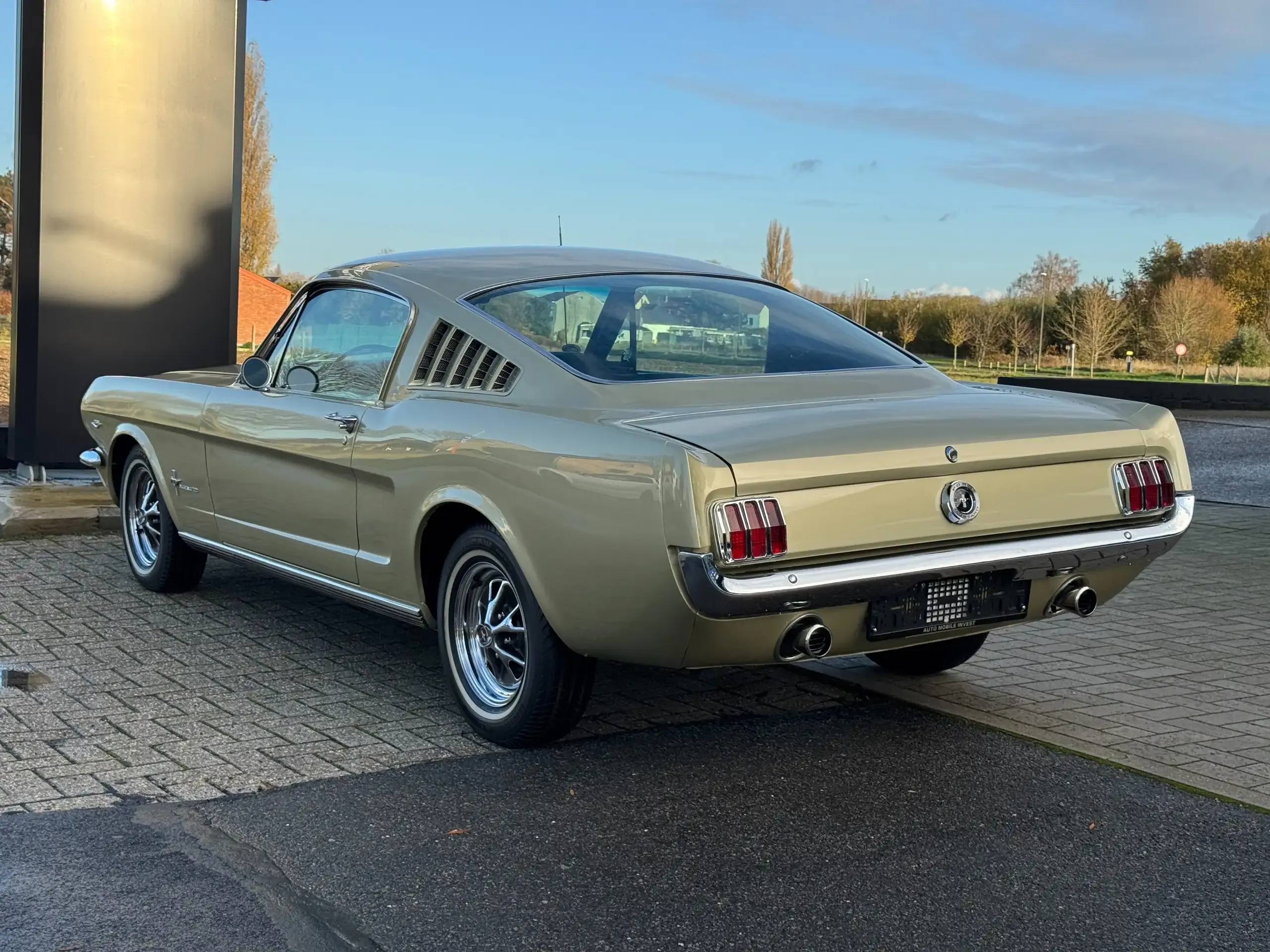 Ford Mustang foto 4