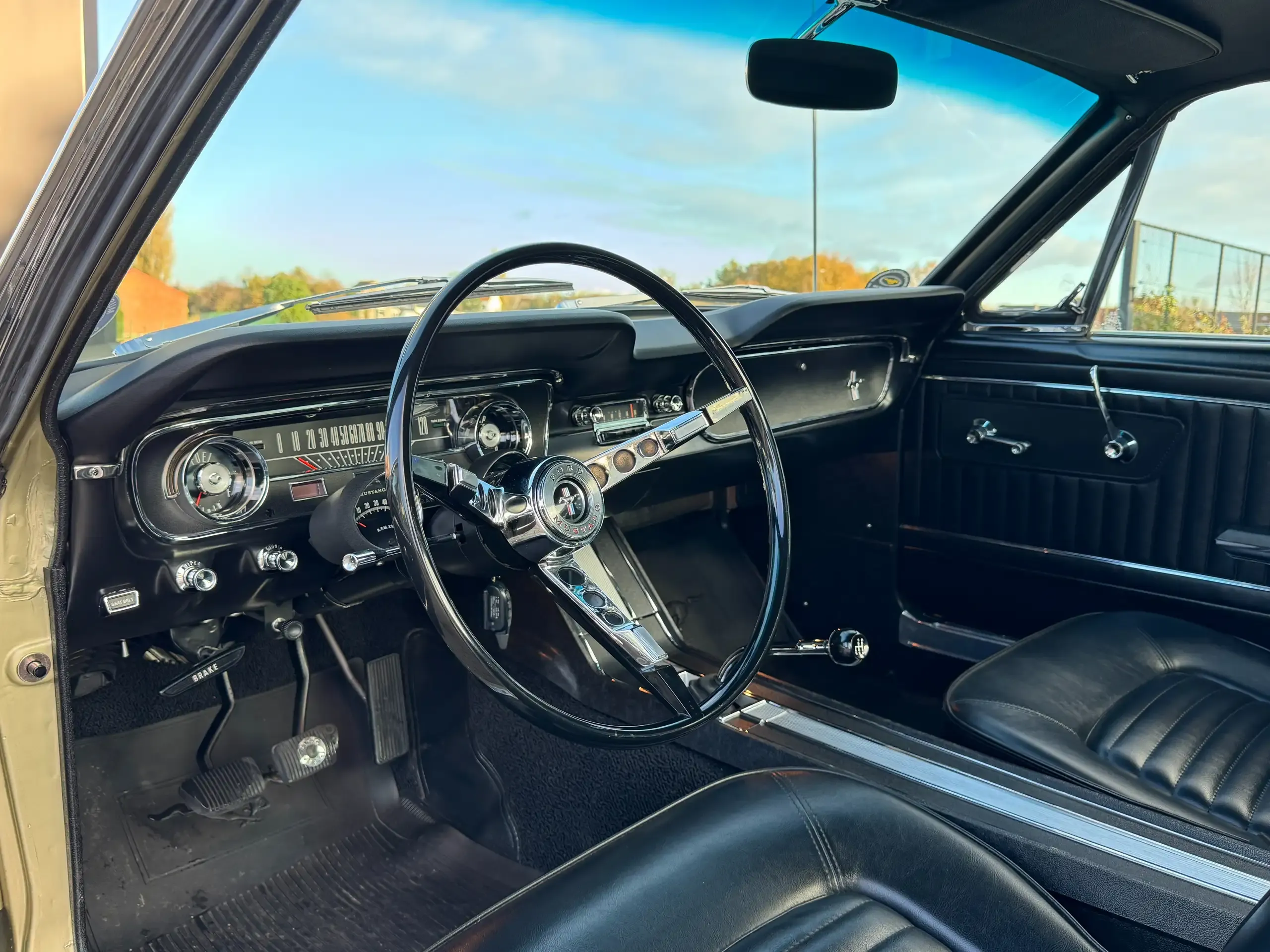 Ford Mustang foto 5